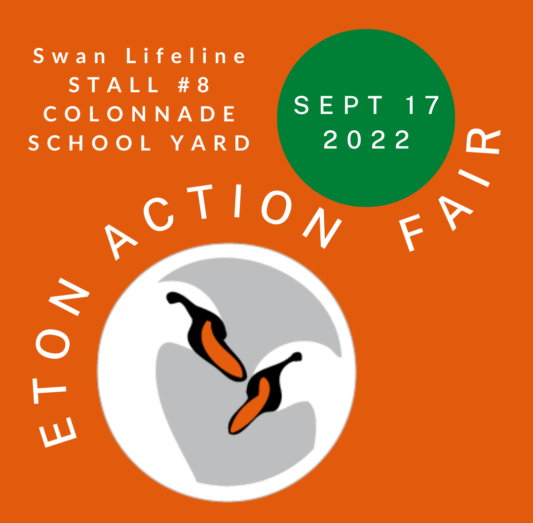 Swan Lifeline at Eton Action Fair 2022