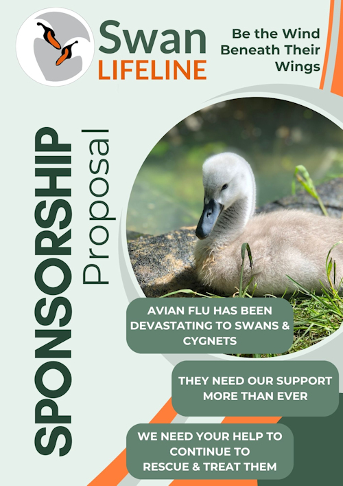 Swan Lifeline Sponsorhip Proposal