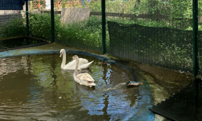 Thank you to the Phillips Charitable Trust